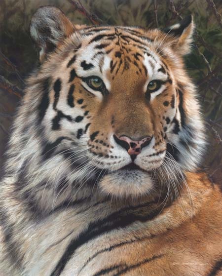 (image for) Handmade Oil painting for home canvas, oil painting framed canvas for living room Carl Brenders paintings Last Watch-Tiger